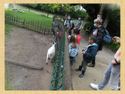VISITE AU ZOO DE LA BOURBANSAIS