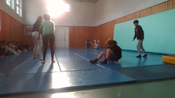 Acro S2