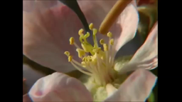 A regarder en deuxième sciences