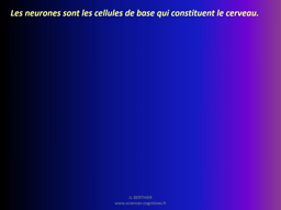 Comment fonctionnent les neurones ?
