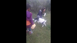 Visite de la Ferme de Pauline