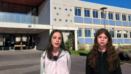 Les nouveaux arrivés au collège