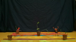 stop motion groupe bleu