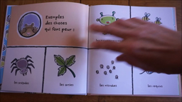 Frisson L'écureuil