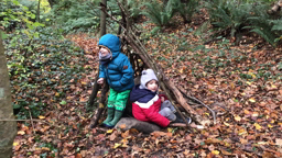 vidéo forêt 