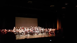 Clg Hautes Ourmes - Extrait spectacle CHAM - La Bamba