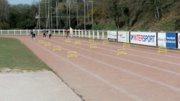 Athlétisme