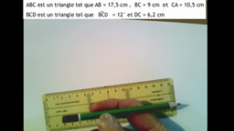 5ème - Construction d'un lama à partir de triangles - étape 1
