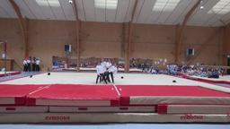 Spectacle de gymnastique