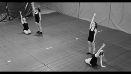 Acrosport bac