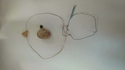 Stop MOTION : LA chataigneraie ploemeur