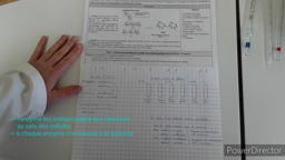 Enzymes et spécificité de substrat