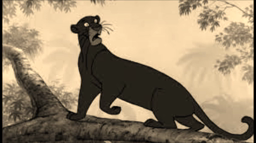 La chorale du collège chante Le Livre de la Jungle
