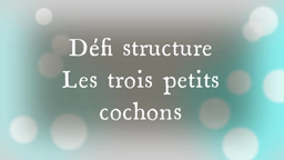 investigation structure - petits cochons