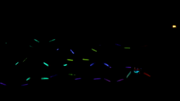 7eme tableau du projet "Fugue" (Extrait)