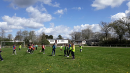 Rugby - c