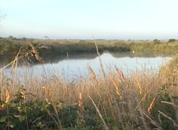 Principe marais salant