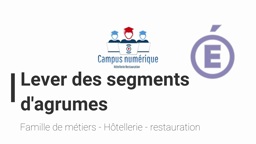 Lever des segments d'agrumes - Tutoriel
