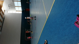Roller_1