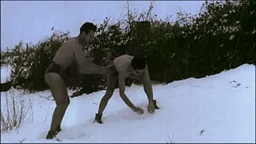 La bataille de Stalingrad 2/3 (extrait d'Apocalypse)
