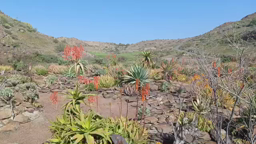 Erasmus+Gran Canaria