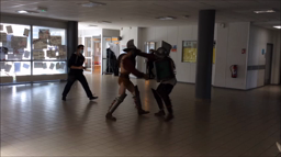 Spectacle : Combats de gladiateurs