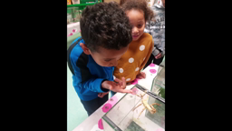 ferme de Soye jour 1