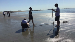 Maths à la plage