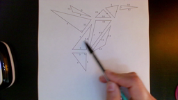 Construction du colibri