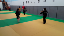 Handisport8