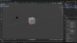 Pion -X²: paramétrage de Blender 4.2
