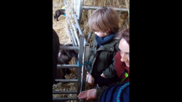 Visite dela BERGERIE