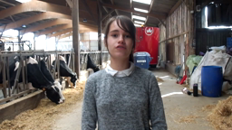 Citoyens et Reporters CLEMI 2019 - La Ferme Le Verger clg La Gautrais 4è
