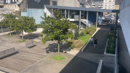 Lycée professionnel Ste Elisabeth- Douarnenez-Collecte et recyclage de mégots