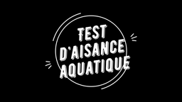 Pass nautique
