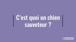 Concours Citoyen et Reporter Collège Kerfontaine - 2021 : les chiens sauveteurs