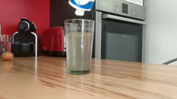 L'oeuf nageur 1