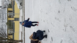 neige