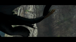 Dragons