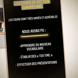 Bac professionnel Agora section Euro