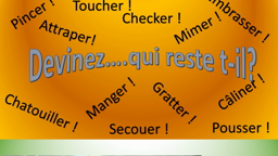 PINCE MI , PINCE MOI : Dis-moi 10 mots