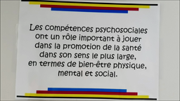 Les compétences psychosociales au Collège Camille Guérin - St Méen le Grand