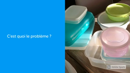 Concours Citoyen et Reporter Collège Kerfontaine : Les plastiques, c'est dramatique pour les animaux marins