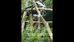 VISITE AU ZOO DE LA BOURBANSAIS