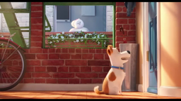CO mascotas