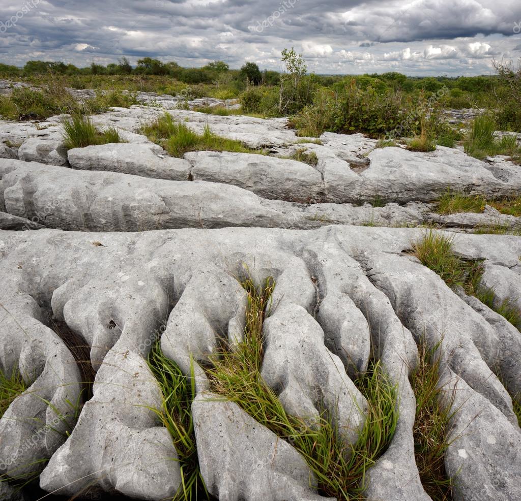 Exemple of limestone carved by acid rain in the Burren (Ireland).