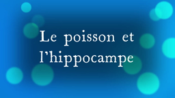Le poisson et l'hippocampe