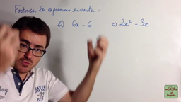 Factorisation Niveau2