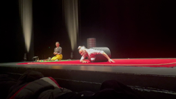 Spectacle Asphodèle