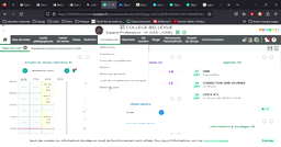 Pronotes - Bilan de fin de cycle